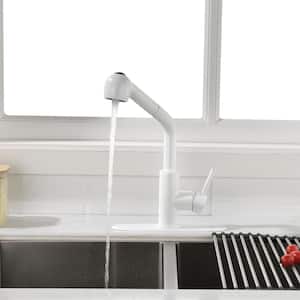 Modern Single Handle Single Hole Stainless Steel Bathroom Faucet with Pull Out Sprayer in White