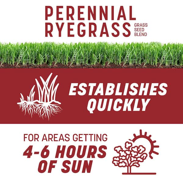 Smart Seed Perennial Ryegrass 3 lb. 750 sq. ft. Grass Seed Blend and Lawn Fertilizer