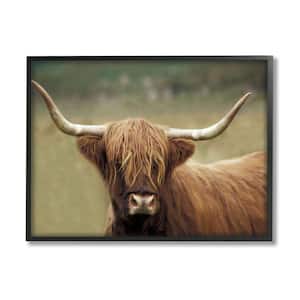 Cattle Shaggy Country Animal Portrait Photography By Danita Delimont Framed Print Animal Texturized Art 24 in. x 30 in.