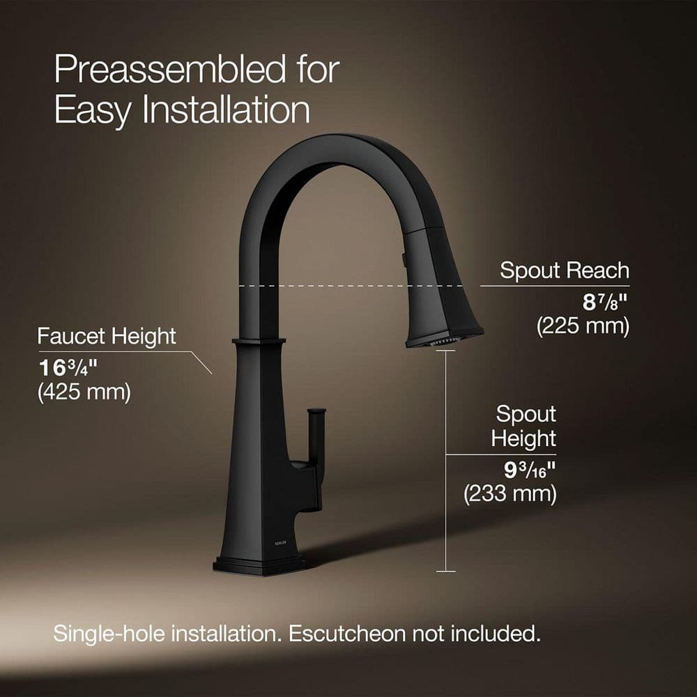 Matte Black Single-Handle Pull-Down Kitchen Faucet with Sprayhead