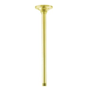 Ceiling 10 in. Shower Arm with Flange in Polished Brass