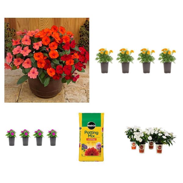 SunPatiens, Marigold, Vinca, Potting Mix, White SunPatiens Combo