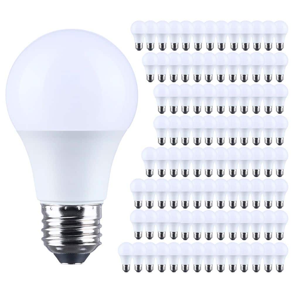 60-Watt Equivalent A19 Indoor and Outdoor Non-Dimmable LED Light Bulb in Daylight (100-Pack) price history on PriceWatchPro