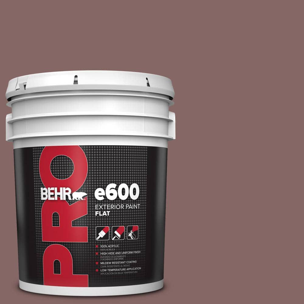 5 gal. #130F-6 Brazil Nut Flat Exterior Paint price history on PriceWatchPro