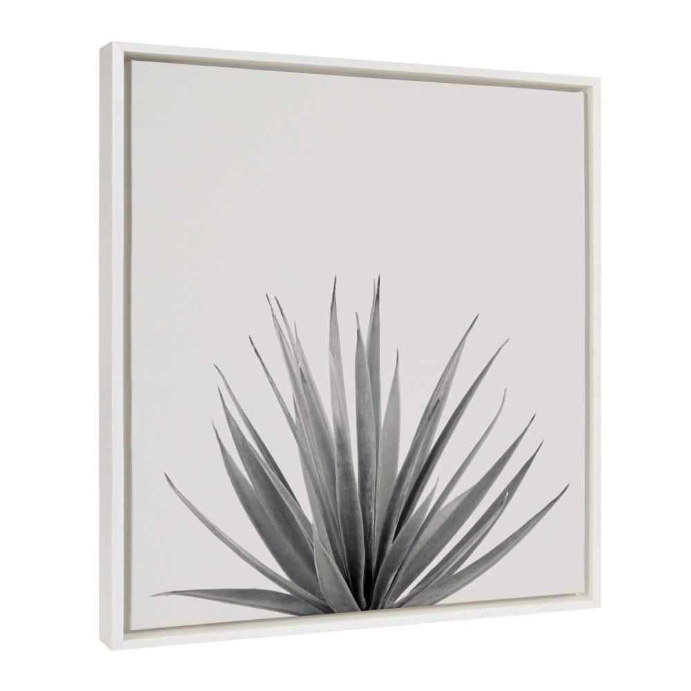 22x22 White Framed Canvas Agave Succulent Print