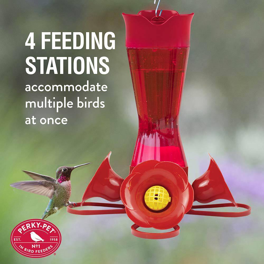 Red Glass and Plastic Hanging Hummingbird Feeder, 8-Ounce