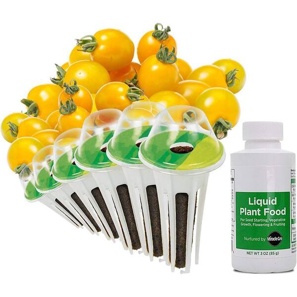 Cherry Tomato Seed Germination Kit (6Pack) B01614SZ9G The Home Depot
