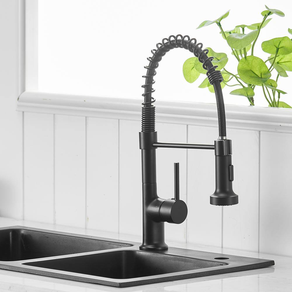 Matte Black Brass Single-Handle Pull-Down Kitchen Faucet
