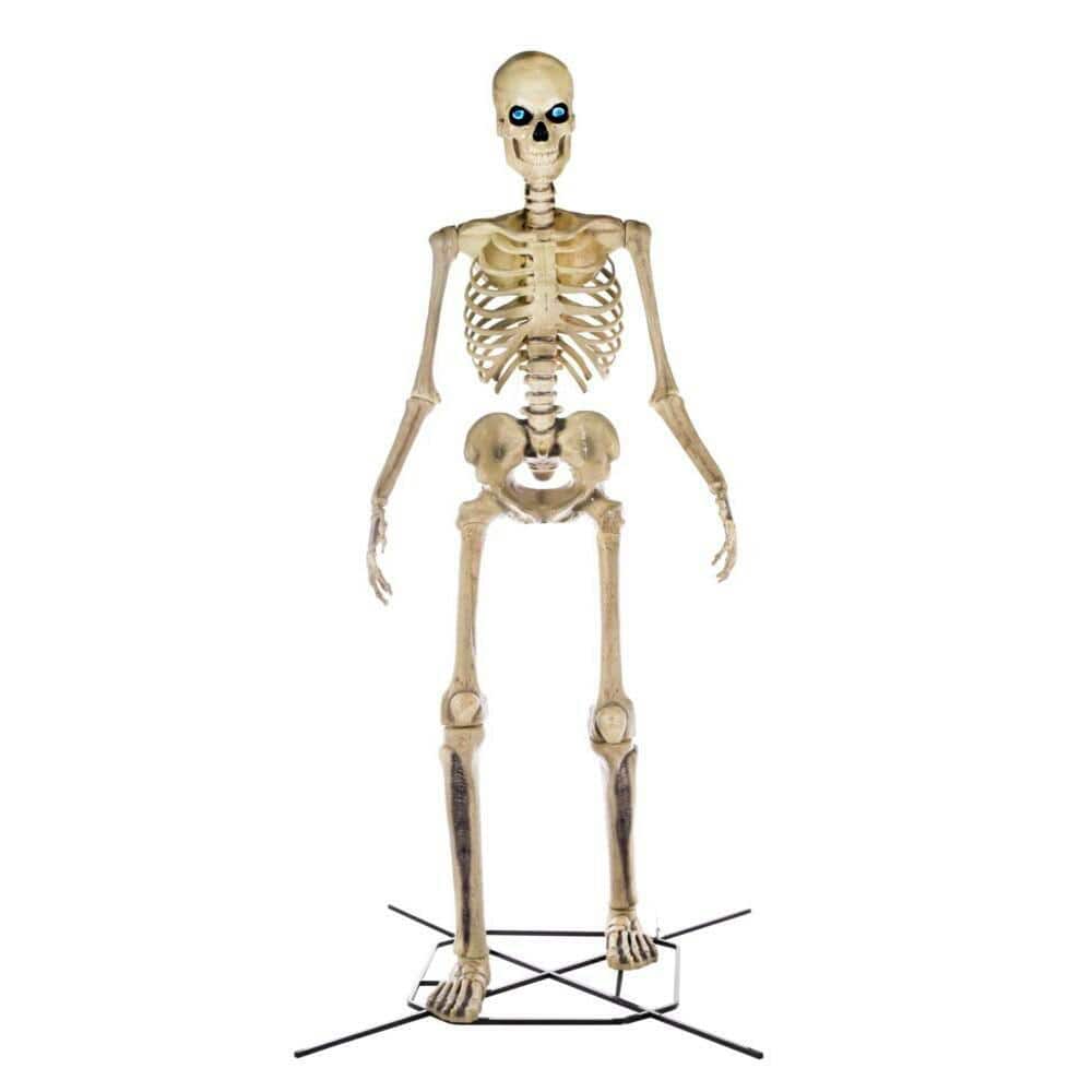 Home Accents Holiday 12 ft Giant-Sized Skeleton with LifeEyes(TM ...
