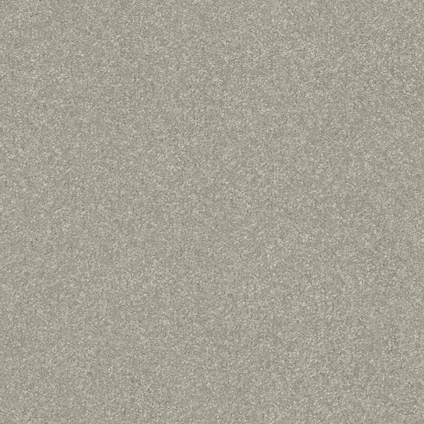 Platinum Plus Carpet Sample - Kingship I - Color Smoked Glass Texture 8 in. x 8 in.