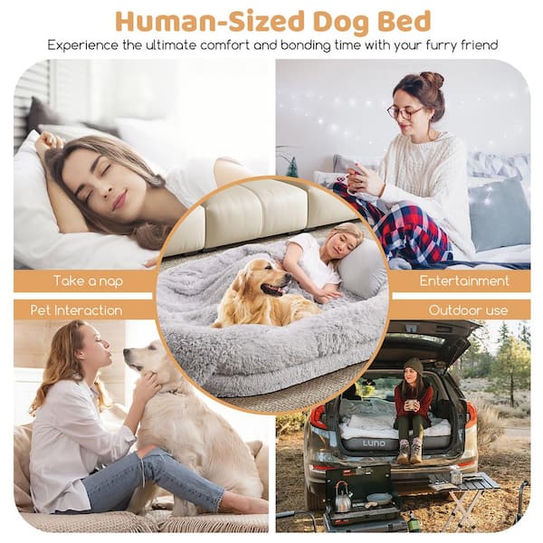 Amazon.com : Elevated Dog Bed – 36x29.75 Portable Bed for