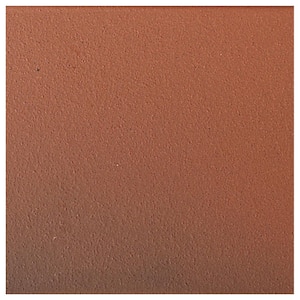 Quarry Red Flash 8 in. x 8 in. Ceramic Floor and Wall Tile (11.11 sq. ft. / case)