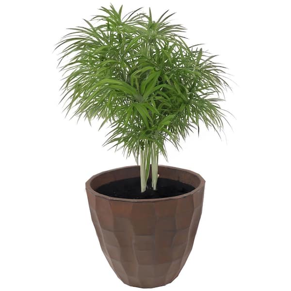 Sunnydaze 16 in. Dark Brown Pebbled Resin Indoor/Outdoor Planter
