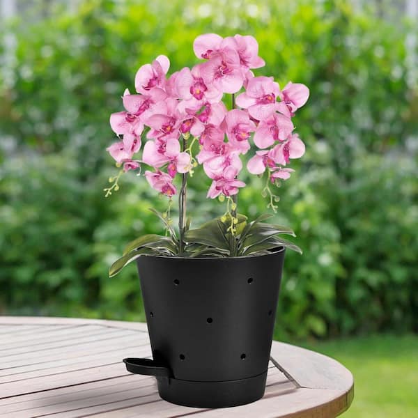 Unbranded 2 Pack 6 Inch Black Self Watering Orchid Pots with Holes, Plastic  Flower Plant Pots for Indoor Orchids ENHD20600
