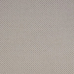 Abbottsgate Mineral Gray 44 oz. Triexta Patterned Installed Carpet