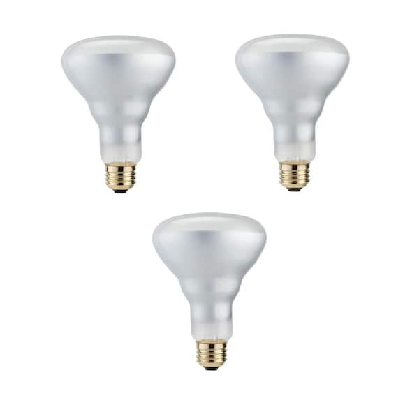Philips 50-Watt Equivalent Halogen BR30 Dimmable Flood Light Bulb (3-Pack)