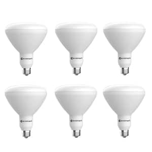 75-Watt Equivalent BR40 Dimmable LED Light Bulb in Soft White (6-Pack)