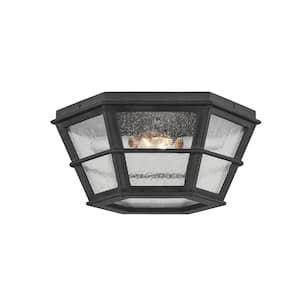 Lake County 13.75 in. 2-Light French Iron, Clear Seeded Flush Mount