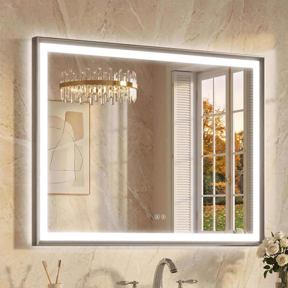 40 in. W x 30 in. H Aluminum Framed LED Mirror with Anti-Fog Dimmable Front and Backlight for Vanity,Brushed Nickel price history on PriceWatchPro