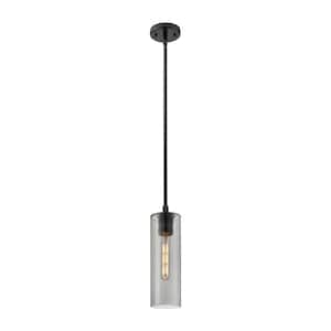 Crown Point 100-Watt 1 Light Matte Black Shaded Pendant Light with Tinted glass Tinted Glass Shade