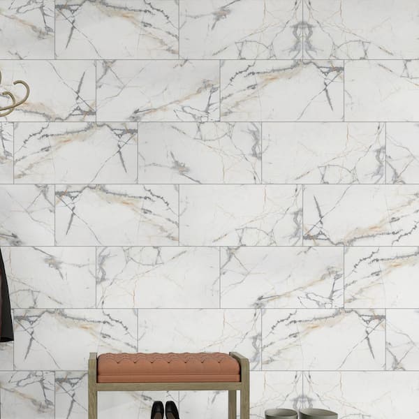 MSI Ader Tegel 24 in. x 48 in. Polished Porcelain Floor and