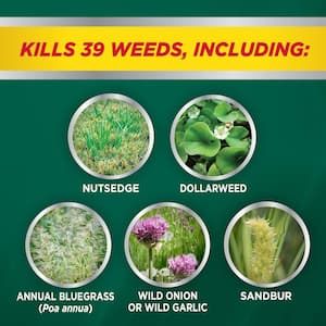32 oz. 8,000 sq. ft. Nutsedge Weed Killer Ready-To-Spray