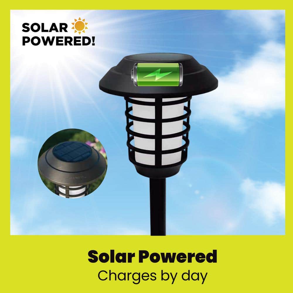Color Changing LED Solar Pathway Lights Multipack