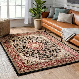 Barclay Medallion Kashan Black 8 ft. x 10 ft. Traditional Area Rug