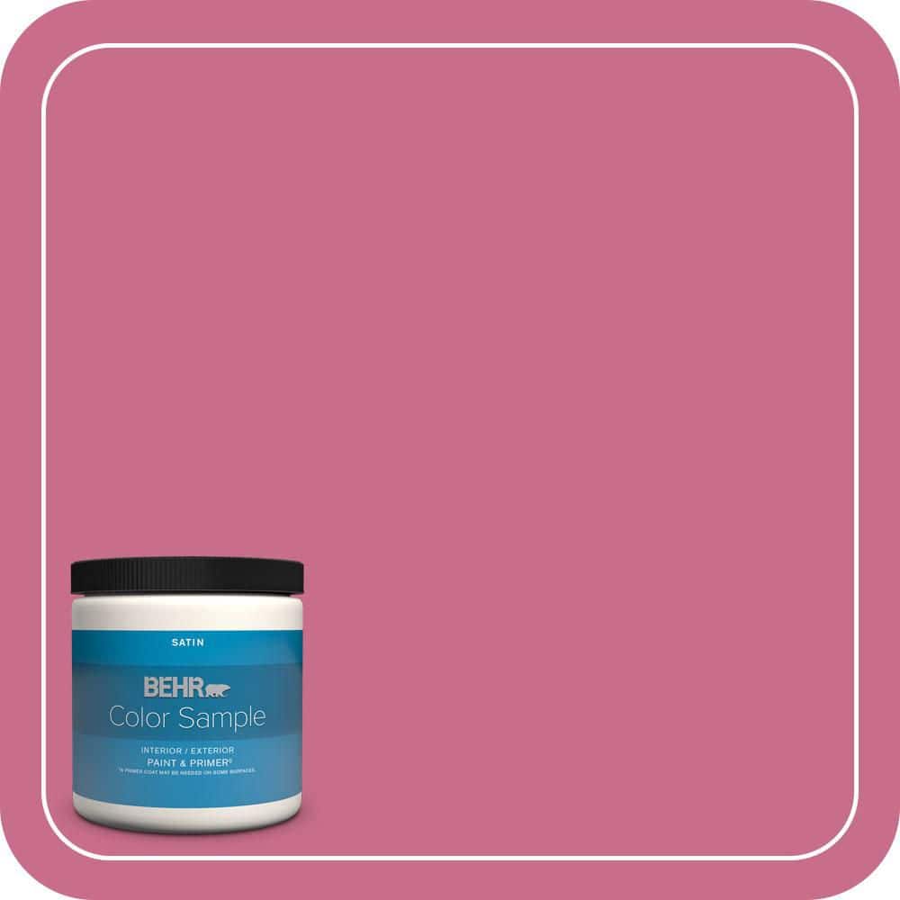 8 oz. #110B-5 Silk Ribbon Satin Enamel Interior/Exterior Paint & Primer Color Sample price history on PriceWatchPro