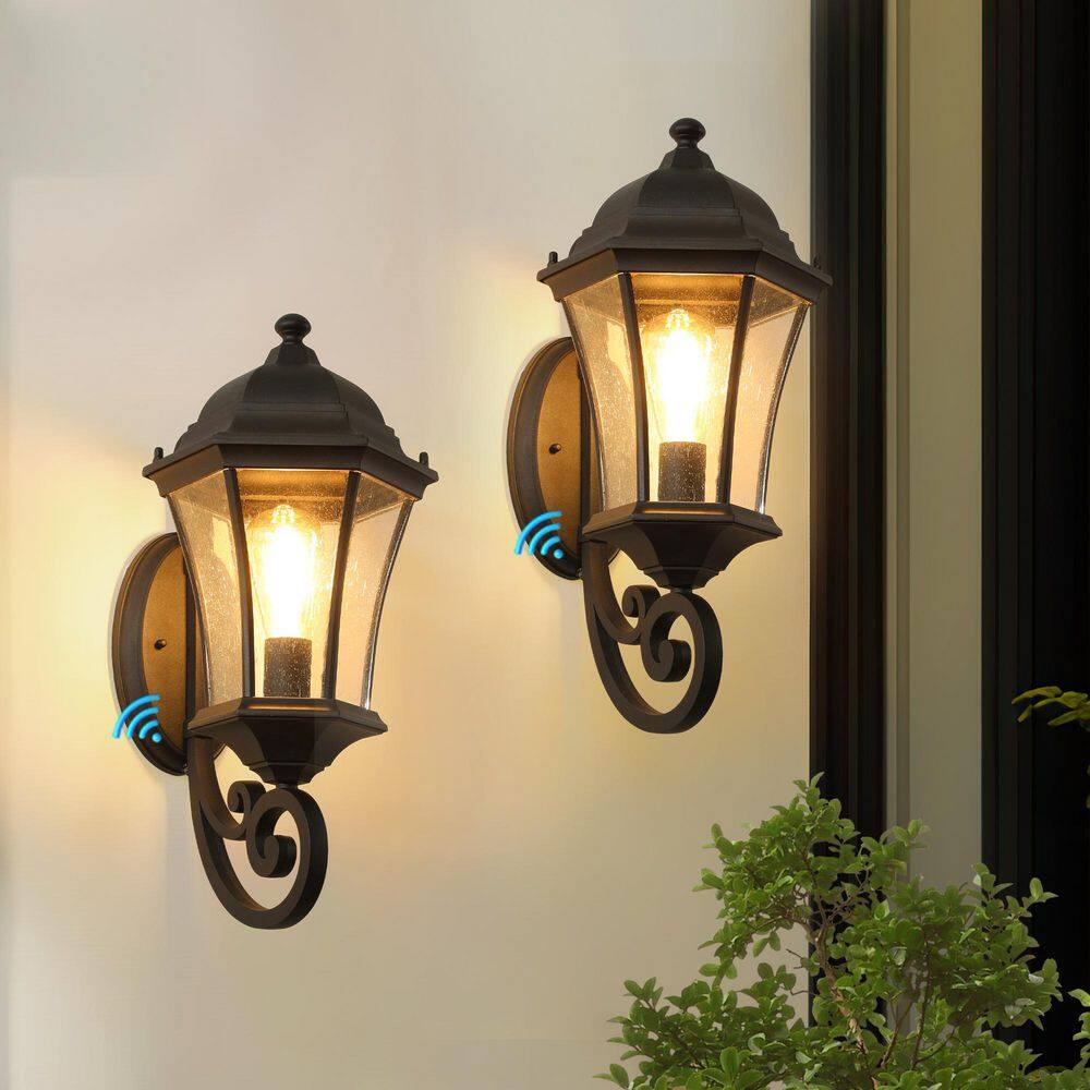 19.5 in. 1-Light Black Dusk to Dawn Outdoor Wall Sconce with Clear Bubble Glass Shade (2-pack) price history on PriceWatchPro