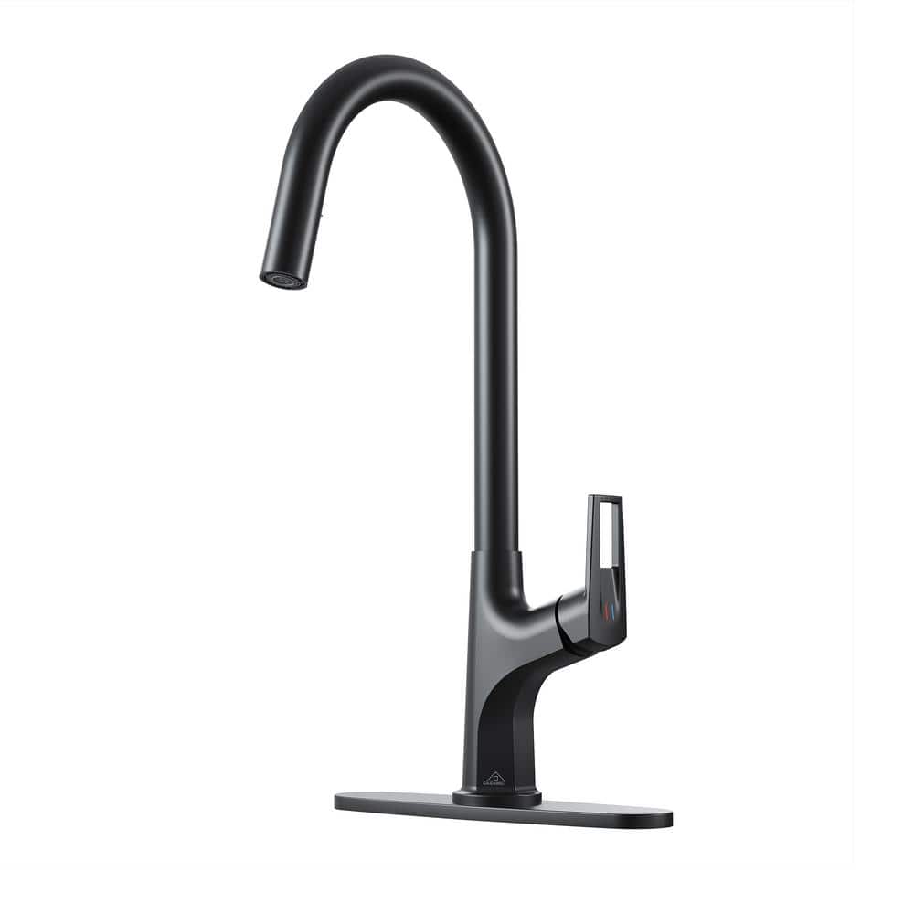 Boyel Living 2-Spray Patterns Single Handle Pull Down Sprayer Kitchen Faucet with Deckplate and Water Supply Hoses in Matte Black