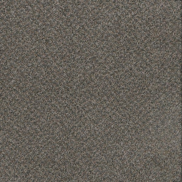 TrafficMaster Watercolors I - Briar Patch - Brown 28.8 oz. Polyester  Texture Installed Carpet HDD9547792 - The Home Depot