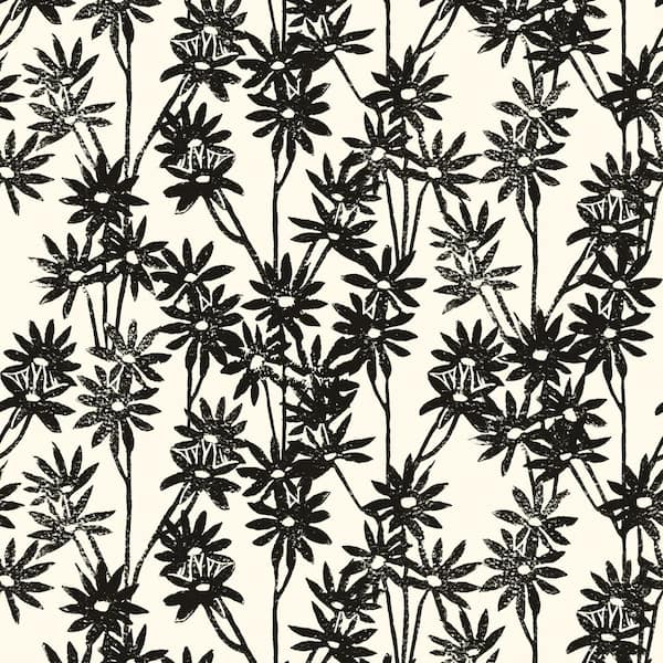 Tempaper Novogratz Daisy Bloom Waverly White Black Peel and Stick Wallpaper Sample
