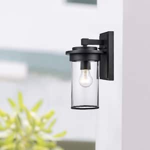 Carmel 1-Light Black Outdoor Wall Light Fixture with Clear Glass