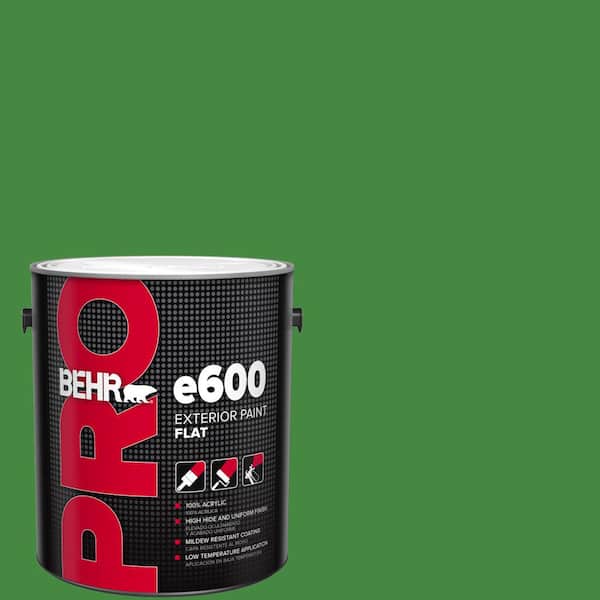 BEHR PRO 1 gal. #T12-9 Level Up Flat Exterior Paint