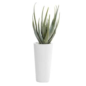 34 in. H Aloe Vera Artificial Plant with Realistic Leaves and White Fiberglass Pot
