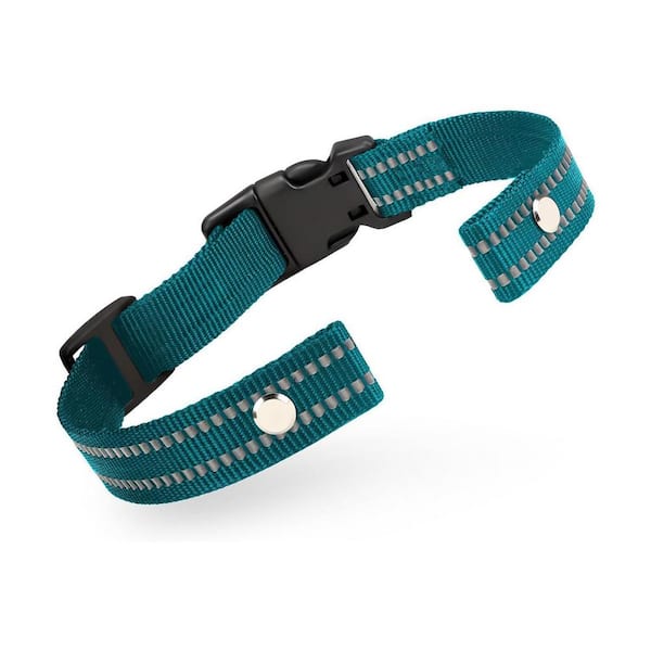 Reflective Nylon Replacement Strap for Dog Training Collars, Adjustable for Small to Large Dogs, Green