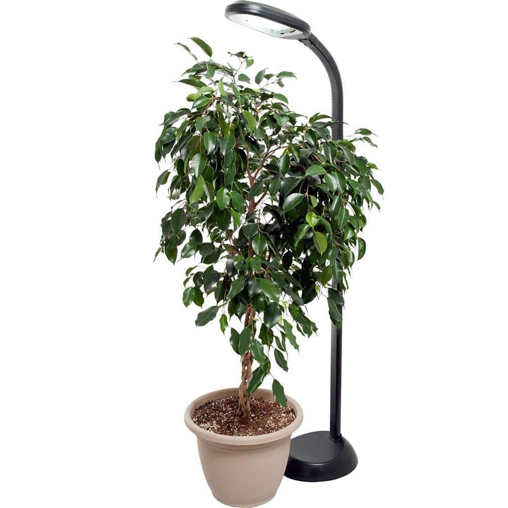 ArcFlex Black Adjustable Height 27W Floor Plant Light