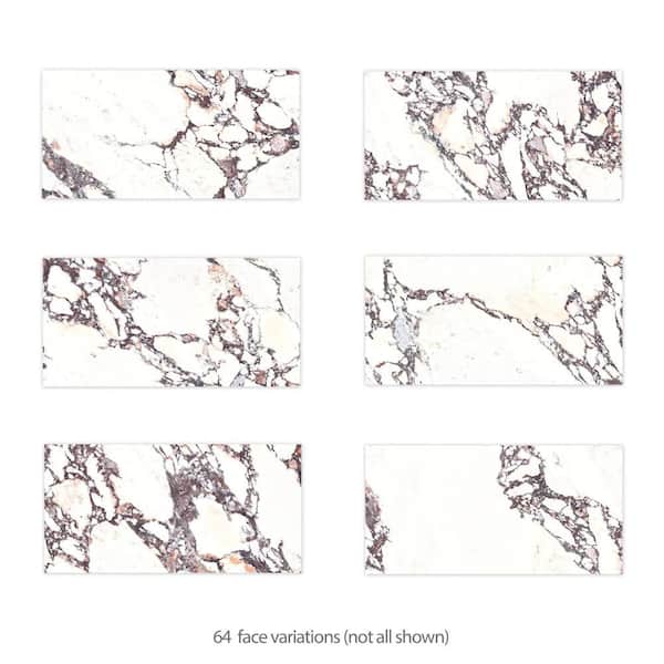 Touche Rubis 11-3/4 in. x 11-3/4 in. Porcelain Floor and Wall Take Home Tile Sample