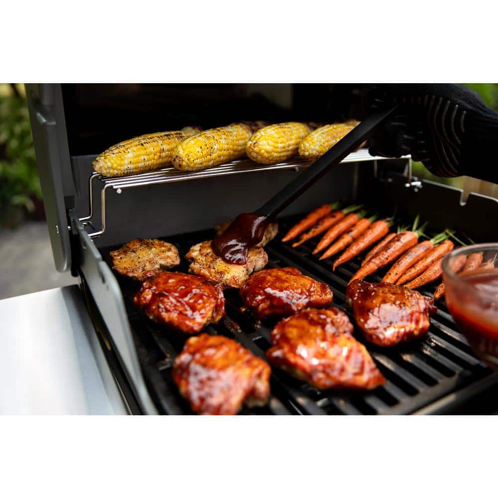 Black 2-Burner Liquid Propane Grill with Porcelain Coated Cast Iron Grates