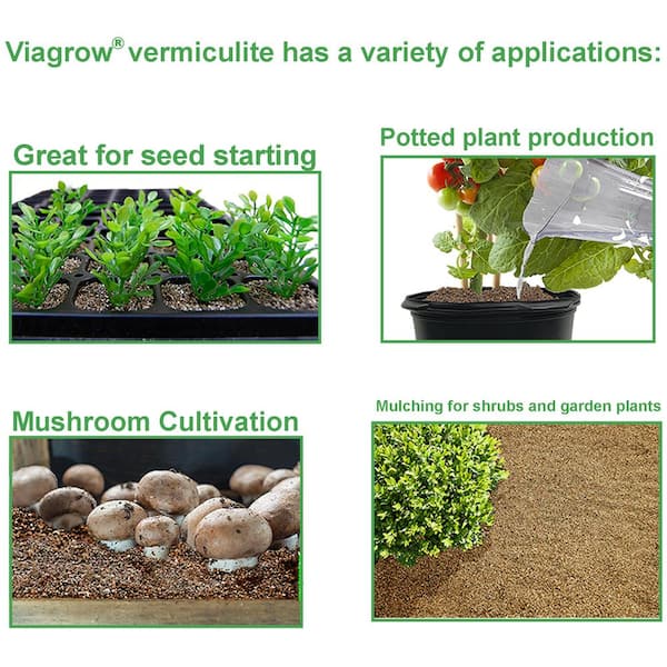 Perlite vs. Vermiculite: How and Why to Use Them – Garden Betty