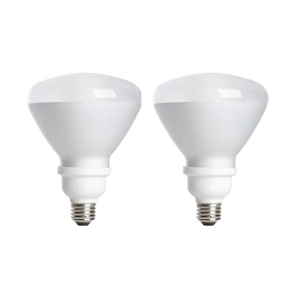EcoSmart 90W Equivalent Soft White BR40 Medium Base CFL Light Bulb (2-Pack)