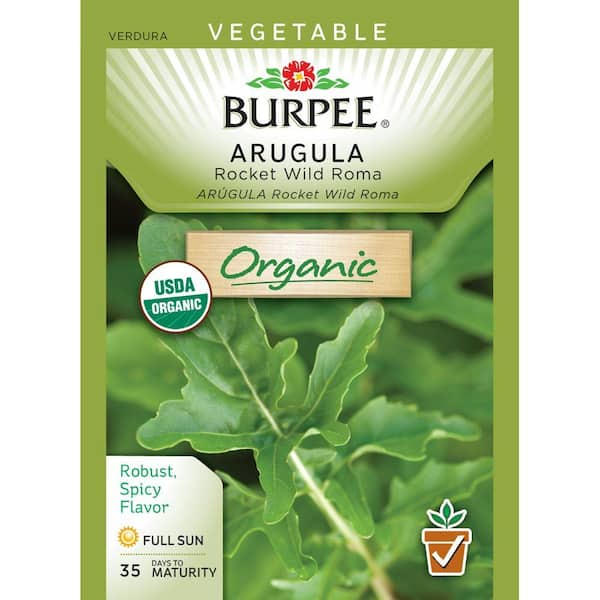 Burpee Roma Burpee Arugula, Rocket Wild Roma 65163 - The Home Depot
