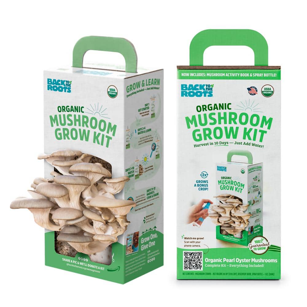 back to the roots organic mushroom grow kit 11006 - the home depot