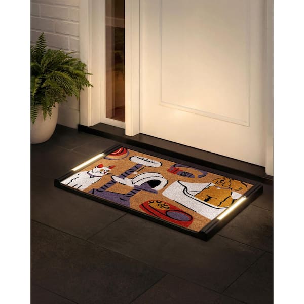 Anji Mountain BriteStep Liberty 32.5 in. x 18.5 in. Pressure