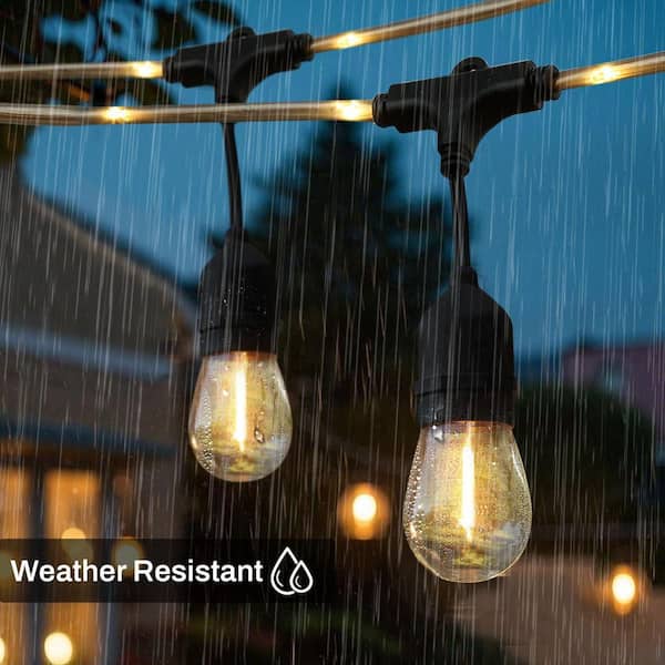 Cedar Hill 12-Bulbs 24 ft.indoor/Outdoor Plug-in with S14
