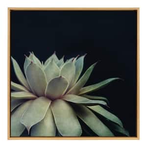 Sylvie "Succulent 8" by Emiko and Mark Franzen of F2Images Framed Canvas Wall Art 30 in. x 30 in.