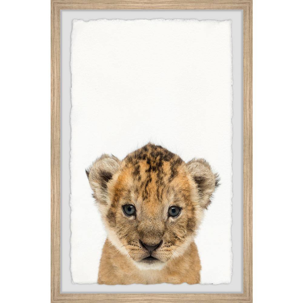 Little Simba by Marmont Hill Framed Animal Art Print 24 in. x 16 in.