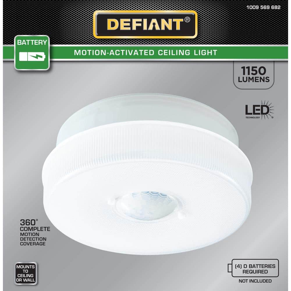 White Textured Glass Medium Indoor/Outdoor LED Flush Mount Light