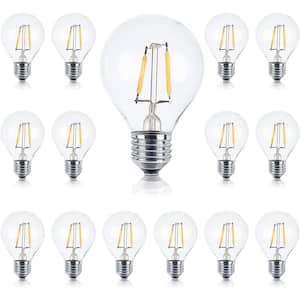 1-Watt G40 Dimmable E26 LED Vintage Edison Light Bulb 2700K (15-Pack)